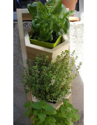 Etagère à plante