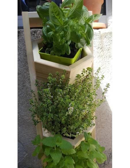 Etagère à plante