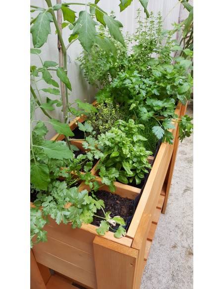 Vegetable garden square planter