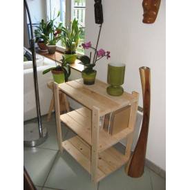 Kast met 3 planken 2