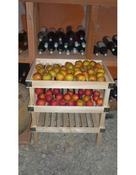 Lote de 4 bandejas abeto