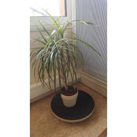 Porte plante à roulettes rond