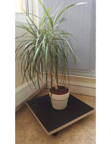 Soporte para plantas cuadrado con ruedas
