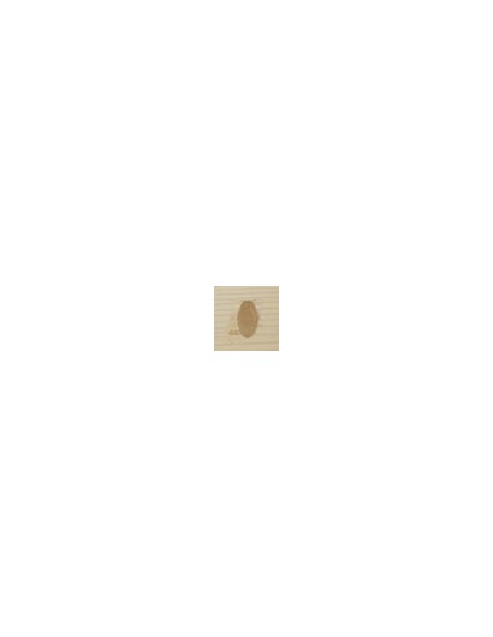 HOLZSPACHTELMASSE