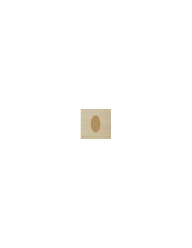 Spatola + Stucco
