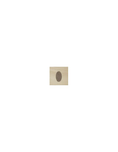 Spatola + Stucco