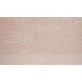 Campione Pannello frassino