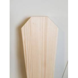 Zaunlamelle 120 cm 2