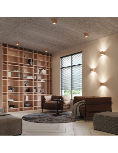 Indoor natural wood spot wall light