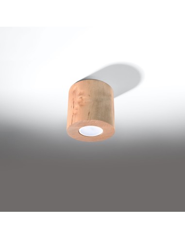 Indoor natural wood spot ceiling light
