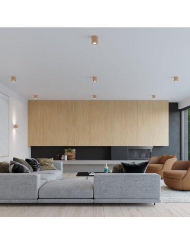 Deckenstrahler aus naturbelassenem Holz für den Innenbereich
