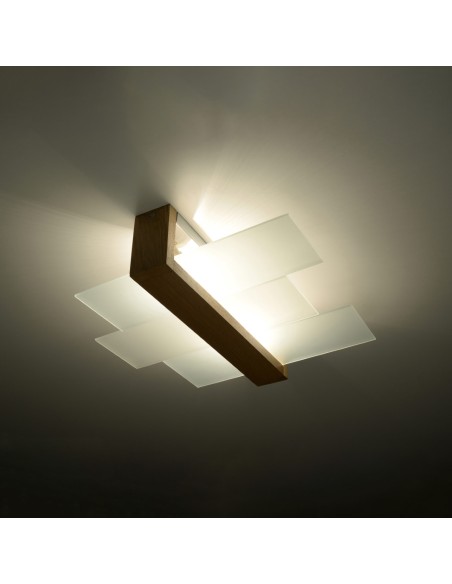 Indoor natural wood spot ceiling light