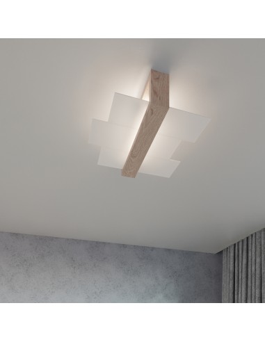 Indoor natural wood spot ceiling light