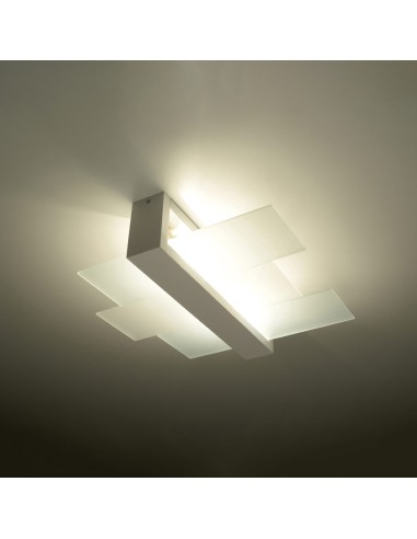 Indoor wood spot ceiling light