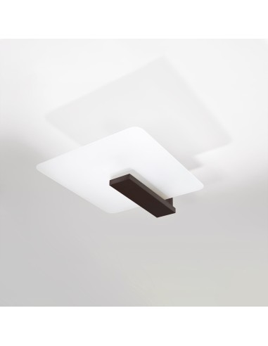 Wood indoor spotlight ceiling light