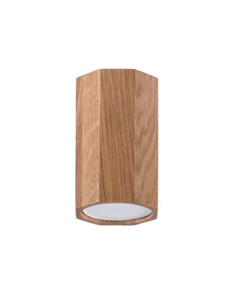 Indoor oak spot ceiling light