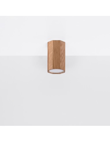 Indoor oak spot ceiling light