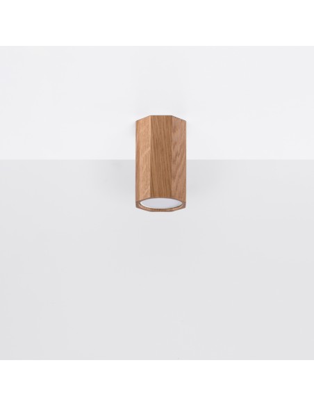 Indoor oak spot ceiling light