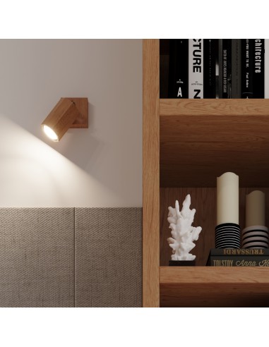 Indoor oak spot ceiling light