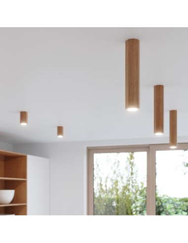 Indoor oak spot ceiling light
