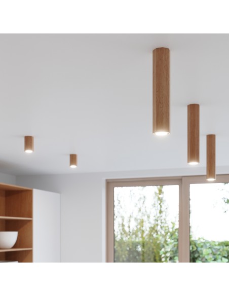 Indoor oak spot ceiling light