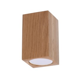 Indoor oak spot ceiling light
