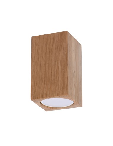 Indoor oak spot ceiling light