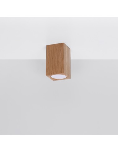 Indoor oak spot ceiling light