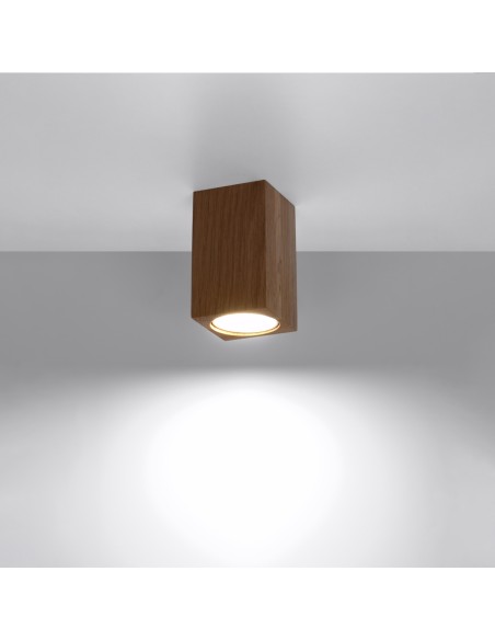 Indoor oak spot ceiling light
