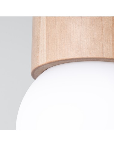 Indoor wooden ceiling spot light