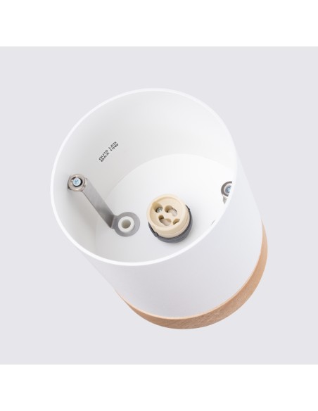 Indoor wood spot ceiling light