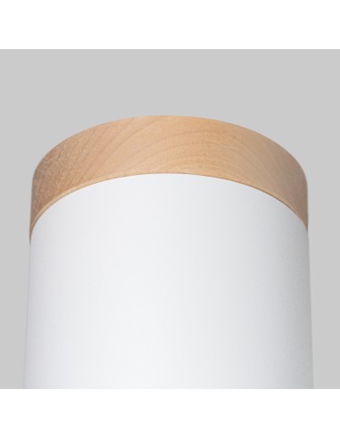 Indoor wood spot ceiling light