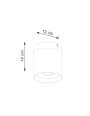 Indoor wood spot ceiling light