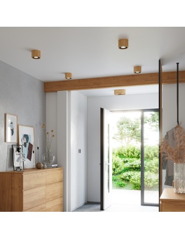 Plafond BASIC 1 van naturel hout