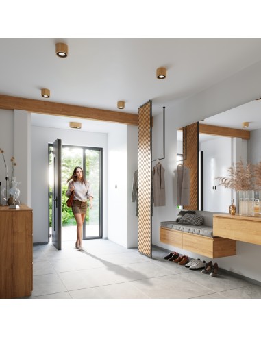 Decke BASIC 1 aus naturbelassenem Holz