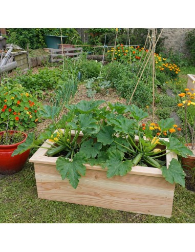 Cuadrado de huerto en kit Douglas – 3...