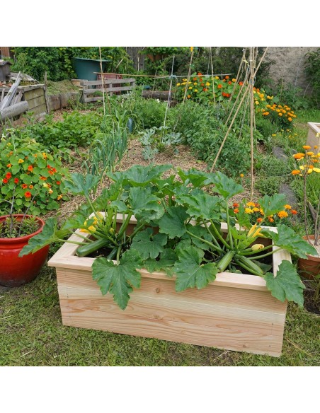 Cuadrado de huerto en kit Douglas – 3 dimensiones disponibles