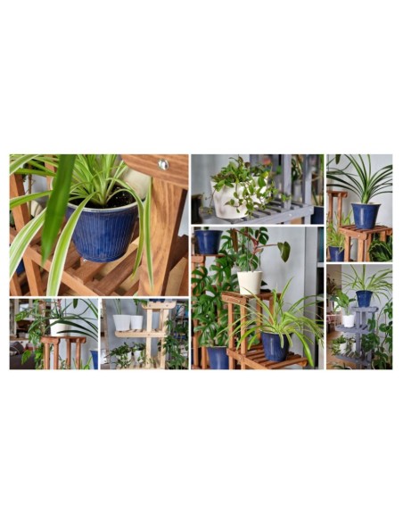 Étagère à plantes 5 niveaux en bois