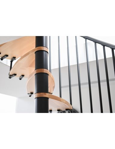 Escalier Colimaçon Luna Hêtre – Marches Recoupables