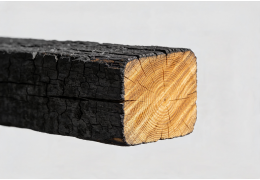Le bois face au feu : comportement, réglementation et solutions constructives