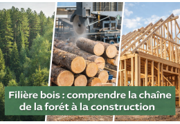 Comprendre la filière bois : de la forêt à la construction et à l’aménagement