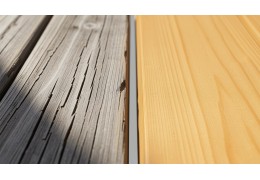 Durabilité et classes d'emploi du bois : choisir le bon bois pour le bon usage